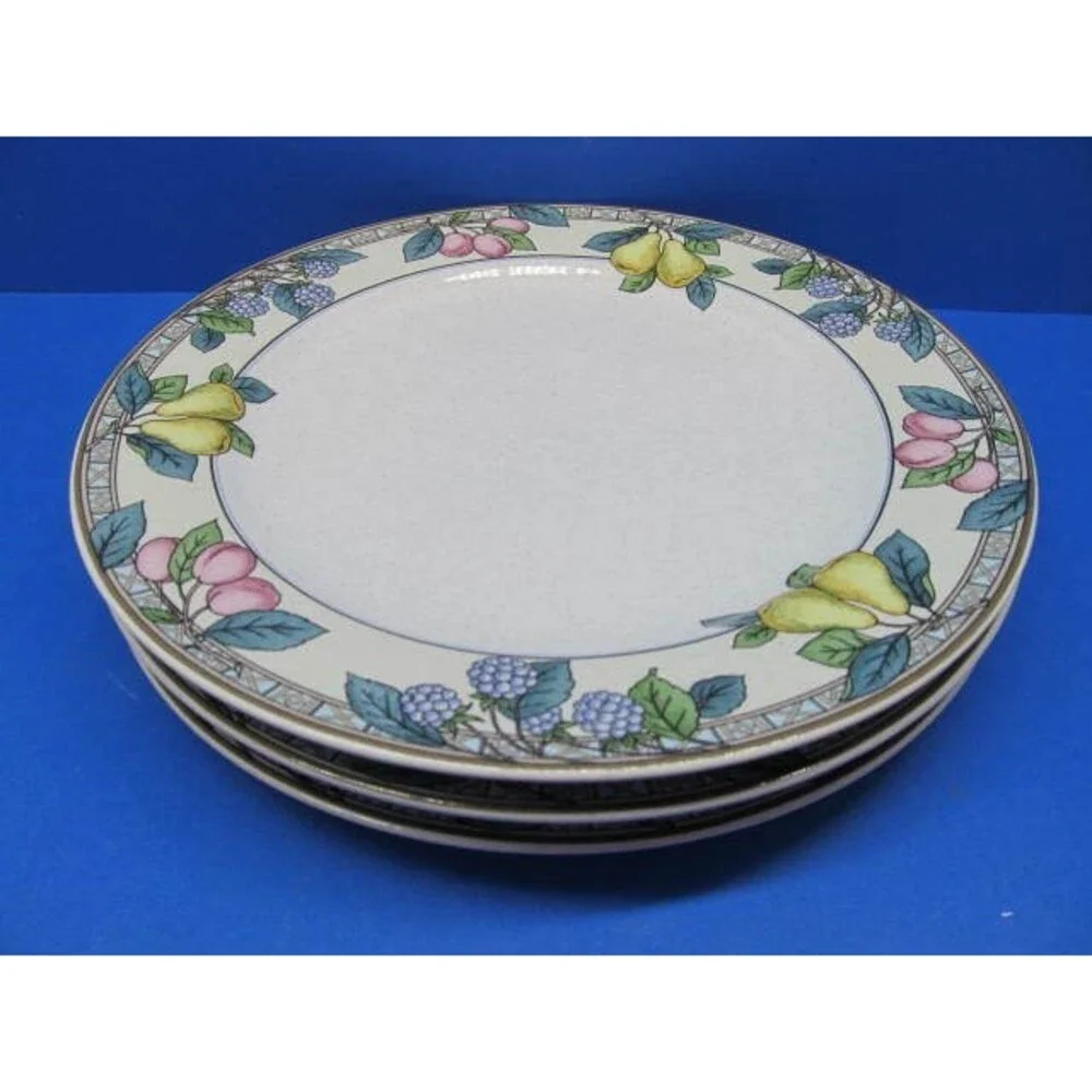 Studio Nova Garden Gallery HG246 Rimmed Dinner Plates 11